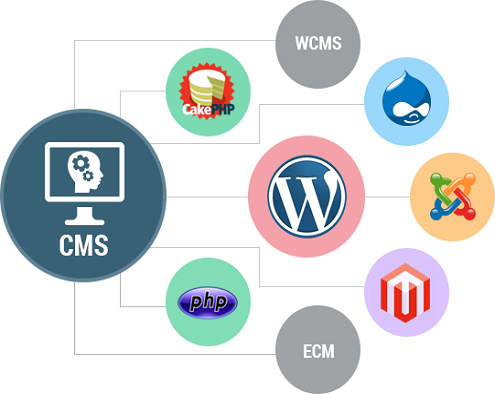 cms services in patna
